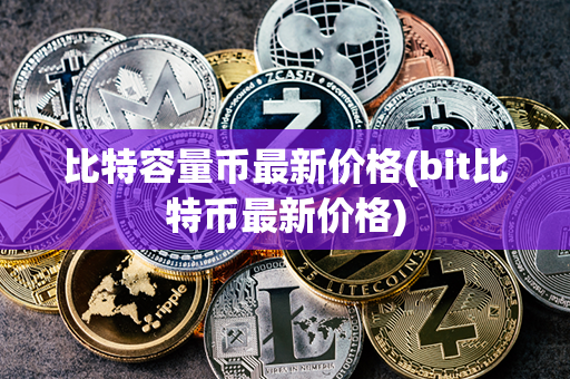 比特容量币最新价格(bit比特币最新价格)