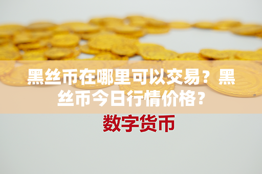 黑丝币在哪里可以交易？黑丝币今日行情价格？