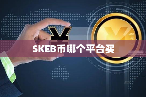 SKEB币哪个平台买第1张-宝盒网