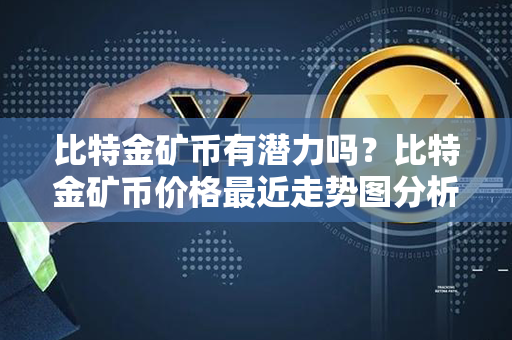 比特金矿币有潜力吗？比特金矿币价格最近走势图分析？第1张-宝盒网