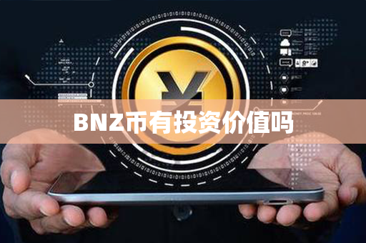 BNZ币有投资价值吗第1张-宝盒网