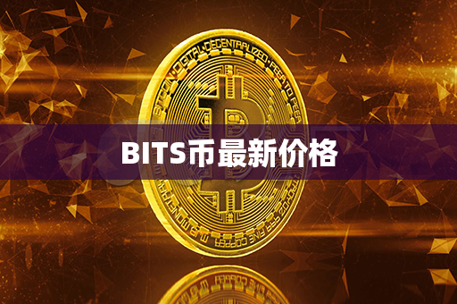 BITS币最新价格第1张-宝盒网