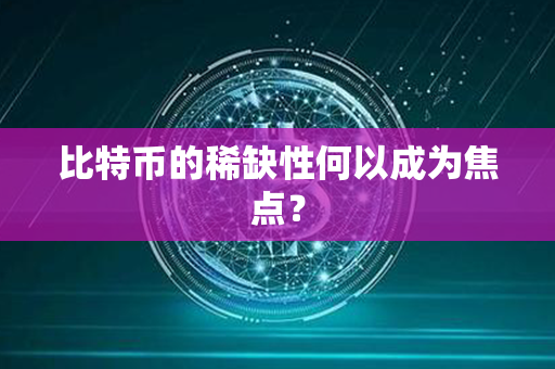 比特币的稀缺性何以成为焦点？