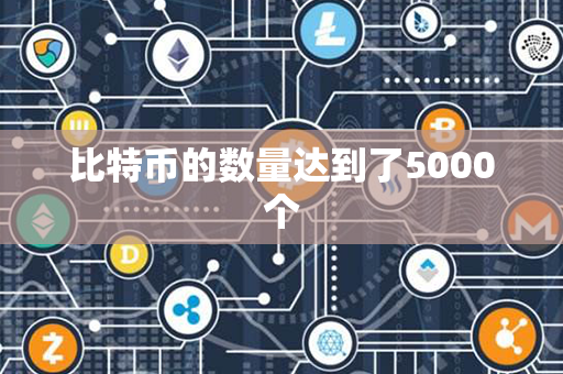 比特币的数量达到了5000个