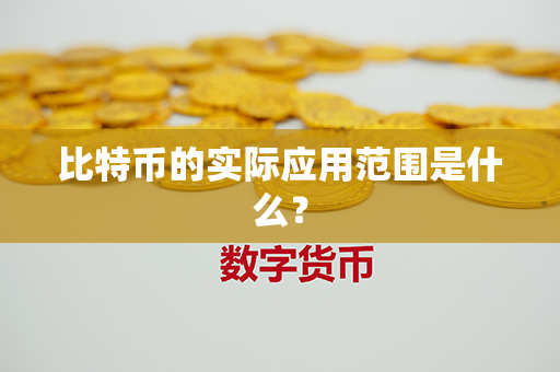 比特币的实际应用范围是什么？