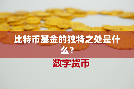 比特币基金的独特之处是什么？第1张-宝盒网