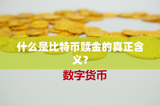 什么是比特币赎金的真正含义？