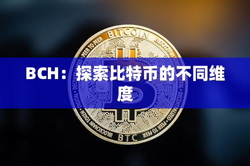 BCH：探索比特币的不同维度