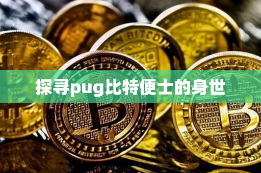 探寻pug比特便士的身世第1张-宝盒网