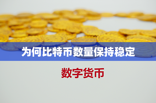 为何比特币数量保持稳定第1张-宝盒网