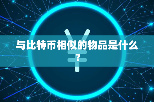 与比特币相似的物品是什么？