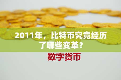 2011年，比特币究竟经历了哪些变革？第1张-宝盒网