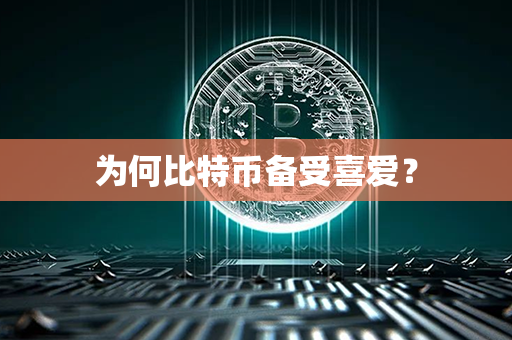 为何比特币备受喜爱？第1张-宝盒网